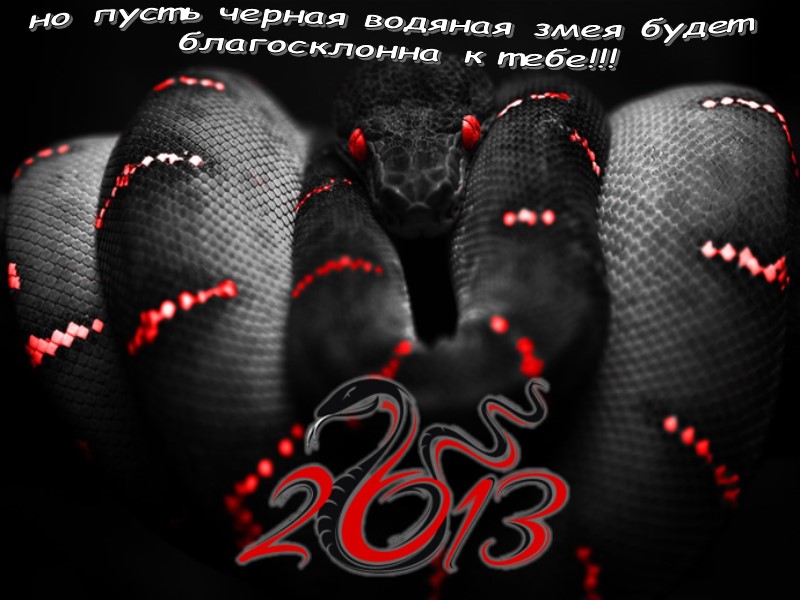 но пусть черная водяная змея будет  благосклонна к тебе!!!